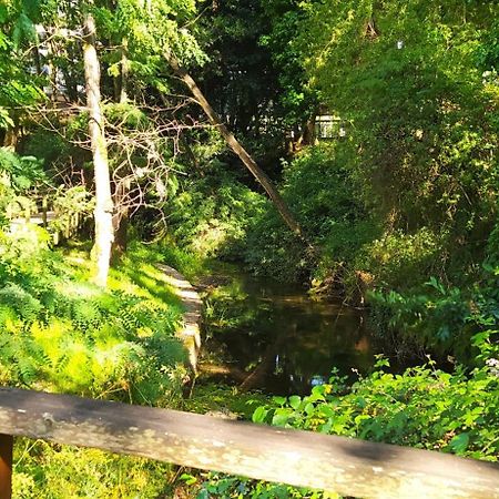 Moderno Y Luminoso 2 Dormitorios Con Todas Las Comodidades En Pontevedra Ciudad Kültér fotó